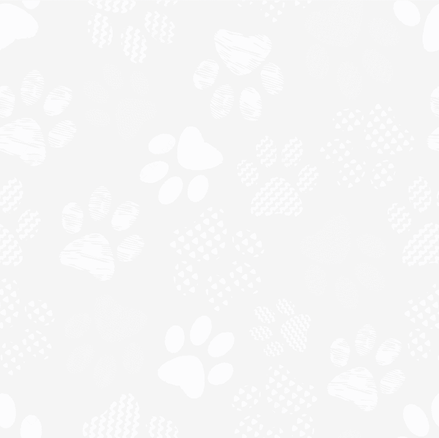 Paws Pattern