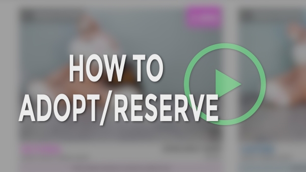 How to Adopt/Reserve