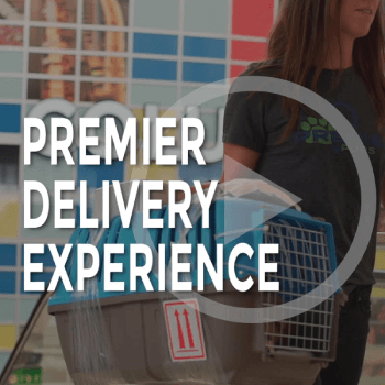 Premier Delivery Experience