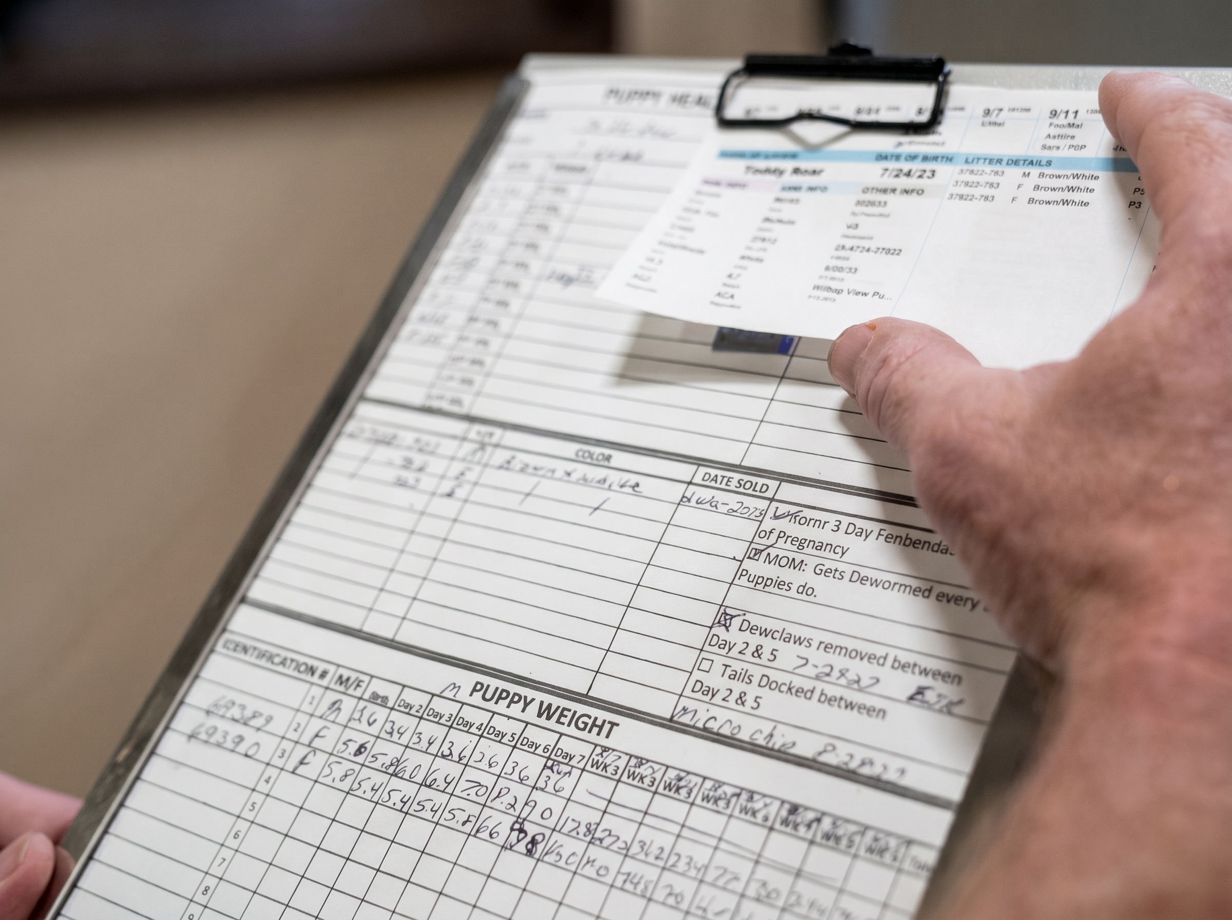 Structured documentation and development tracking for each Premier Pups litter