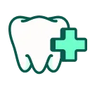 Every adult tooth covered icon