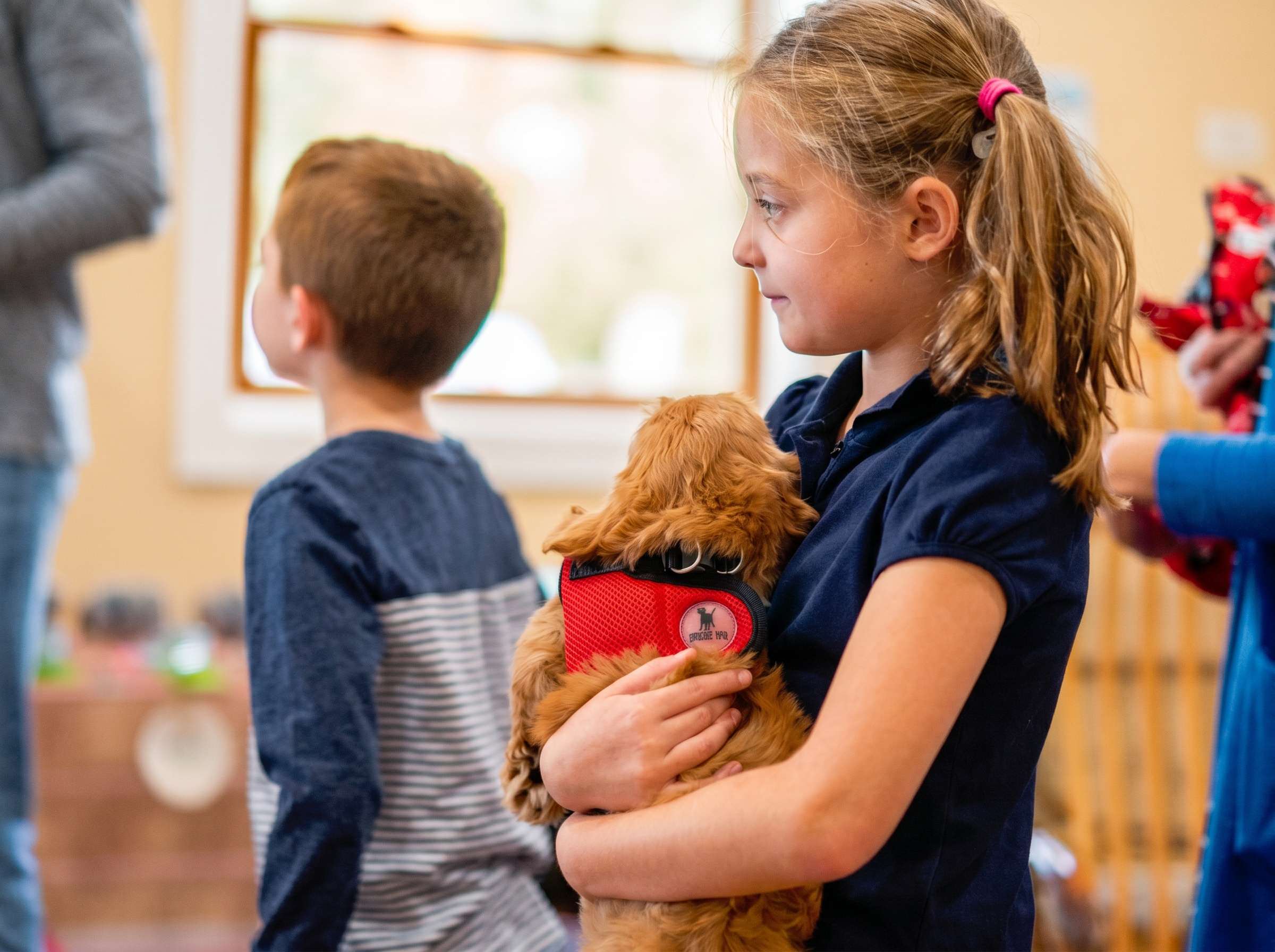 Premier Pups pickup and Storks delivery options