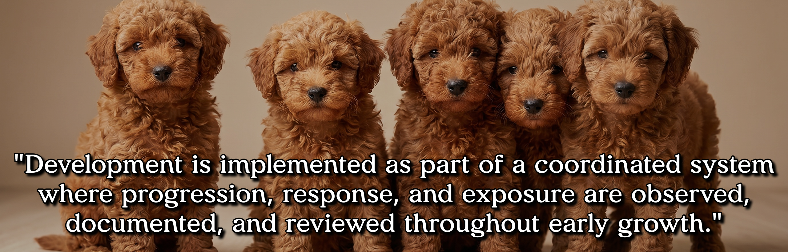 Development is implemented as part of a coordinated system where progression, response, and exposure are observed, documented, and reviewed throughout early growth.