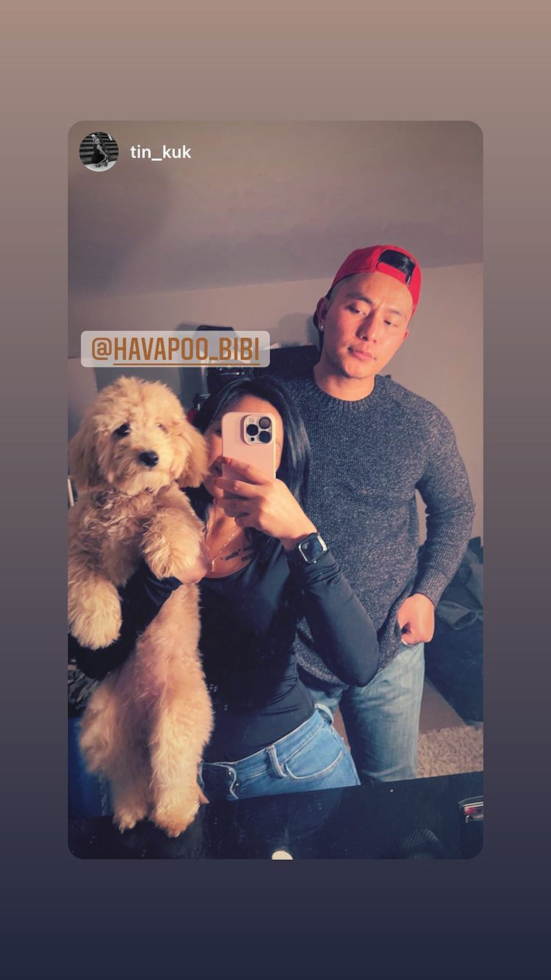 Cute Havapoo Pup in INDIANAPOLIS IN