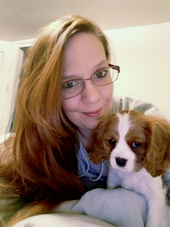 Playful Cavalier King Charles Spaniel Pup