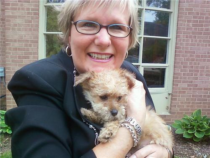 Rudy - Morkie Puppy For Sale Premier Pups Rudy - Morkie Puppy For Sale Premier Pups