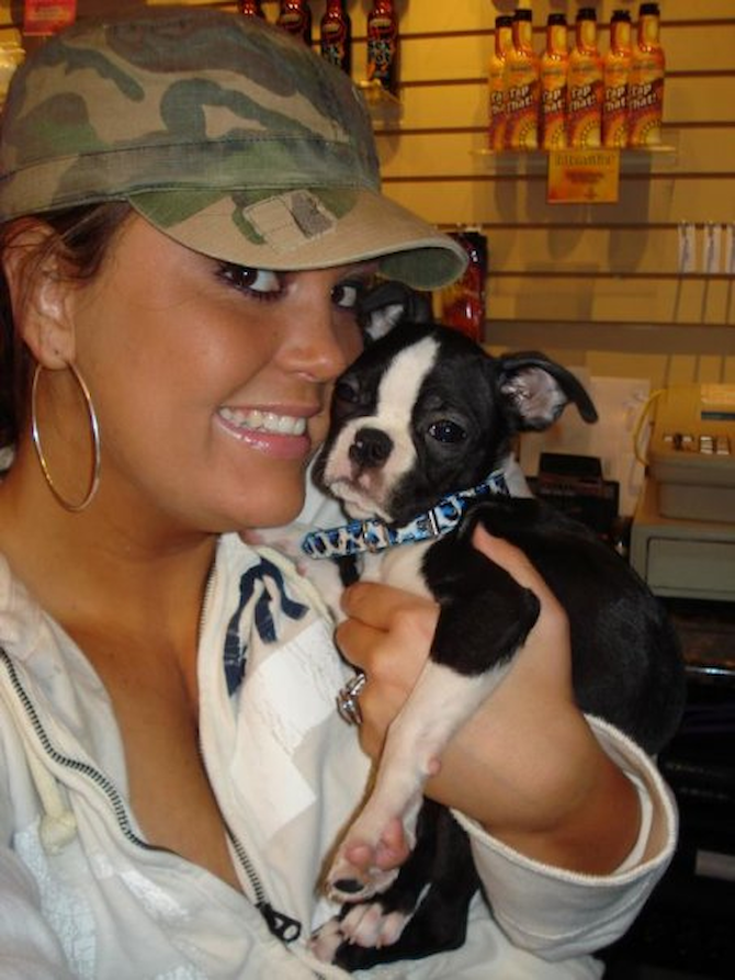 Ty - Boston Terrier Puppy For Sale Premier Pups Ty - Boston Terrier Puppy For Sale Premier Pups