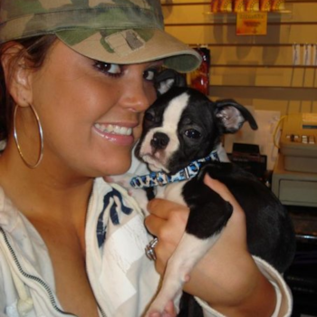 Ty, a Boston Terrier puppy from Trumbull, CT 