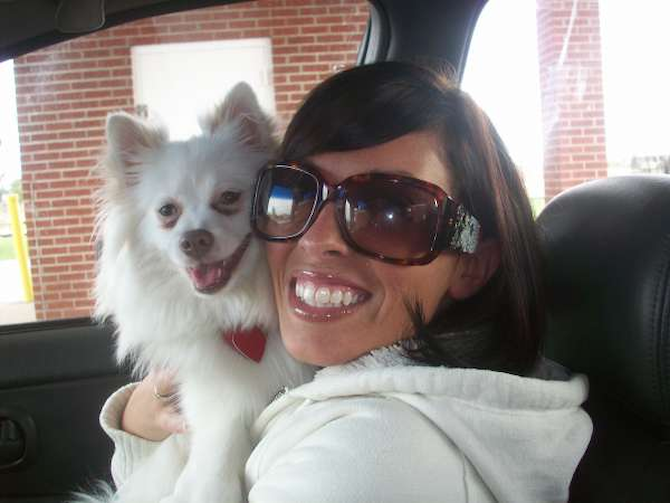Diddy (was Snowflake) - Pomeranian Puppy For Sale Premier Pups Diddy (was Snowflake) - Pomeranian Puppy For Sale Premier Pups