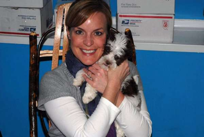 Hershey - Havanese Puppy For Sale Premier Pups Hershey - Havanese Puppy For Sale Premier Pups