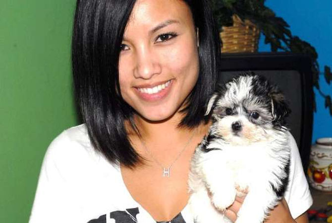 - Mixed breeds Puppy For Sale Premier Pups - Mixed breeds Puppy For Sale Premier Pups