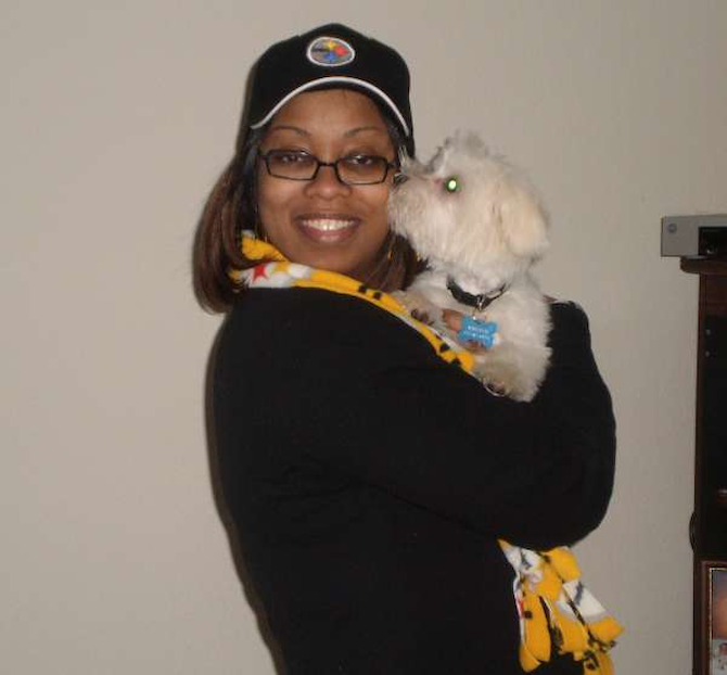 winston - Maltese Puppy For Sale Premier Pups winston - Maltese Puppy For Sale Premier Pups