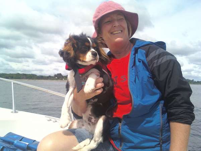 Jacob - King Charles Spaniel Puppy For Sale Premier Pups Jacob - King Charles Spaniel Puppy For Sale Premier Pups