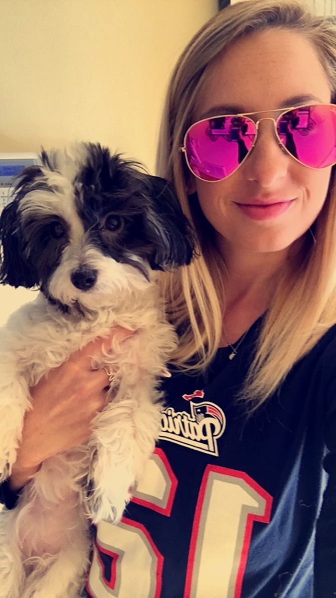 Chloe - Havanese Puppy For Sale Premier Pups Chloe - Havanese Puppy For Sale Premier Pups