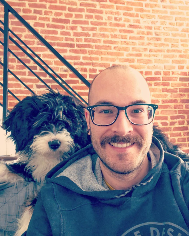 Happy Mini Bernedoodle Pup in Philadelphia PA