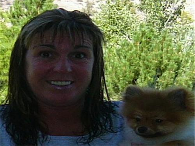 Rascal - Pomeranian Puppy For Sale Premier Pups Rascal - Pomeranian Puppy For Sale Premier Pups