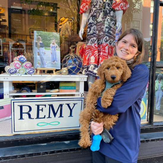 Friendly Mini Goldendoodle Pup