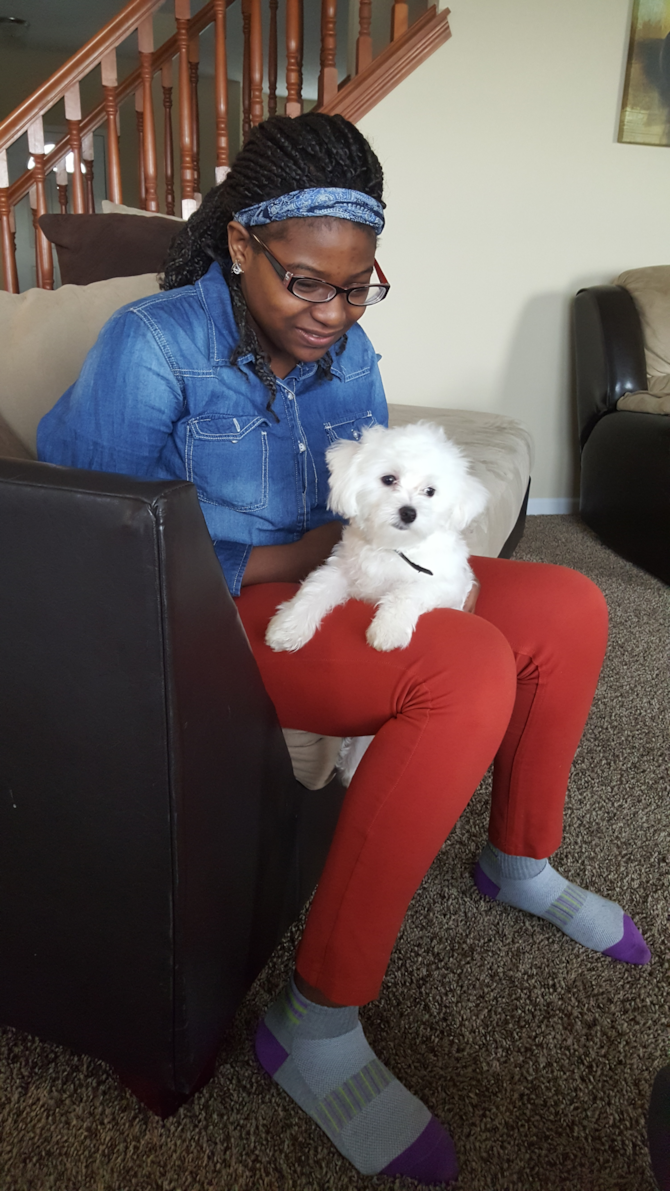 Snow (Max) - Maltese Puppy For Sale Premier Pups Snow (Max) - Maltese Puppy For Sale Premier Pups