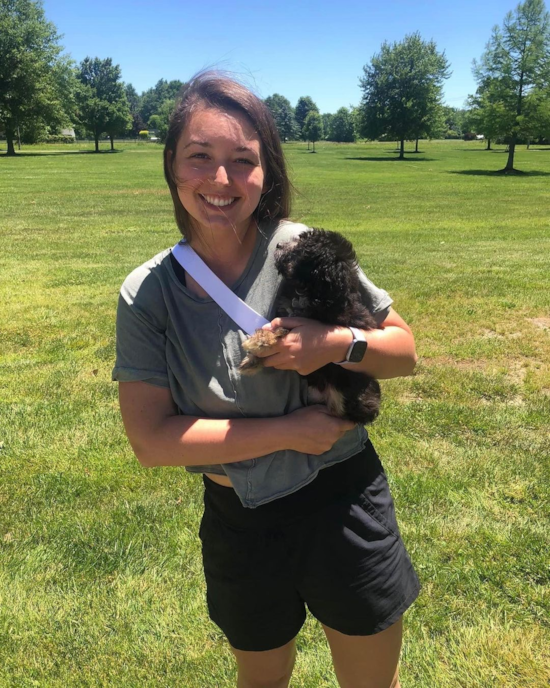 Little Aussiepoo Poodle Mix Pup