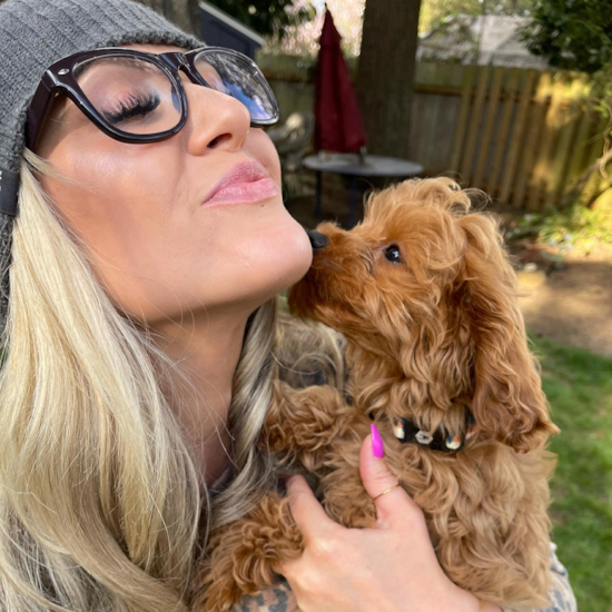 Fluffy Cavapoo Poodle Mix Pup