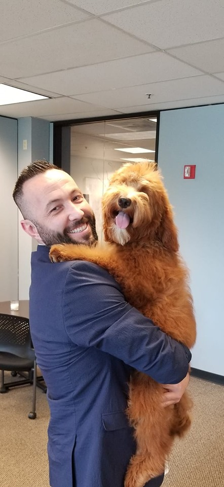 Portland Mini Goldendoodle Pup