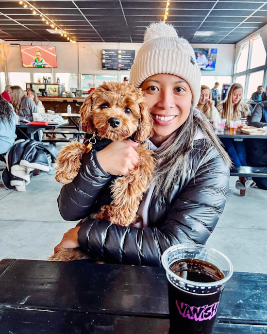 Little Cavoodle Poodle Mix Pup