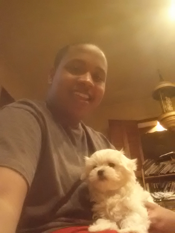 Gionni (formerly Brady) - Maltese Puppy For Sale Premier Pups Gionni (formerly Brady) - Maltese Puppy For Sale Premier Pups