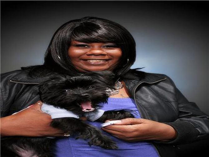 peanut - Yorkie Poo Puppy For Sale Premier Pups peanut - Yorkie Poo Puppy For Sale Premier Pups