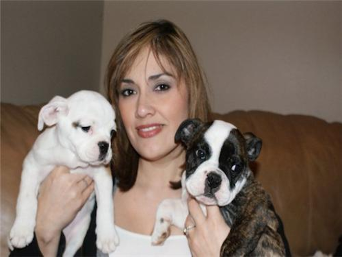 Duke & Daisy AKADeseil & Chanelle - Bulldog Puppy For Sale Premier Pups Duke & Daisy AKADeseil & Chanelle - Bulldog Puppy For Sale Premier Pups