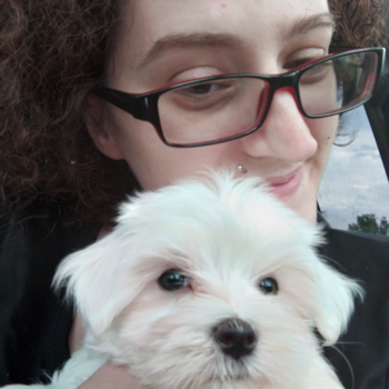 CASPER, a Maltese puppy from Heath Ohio