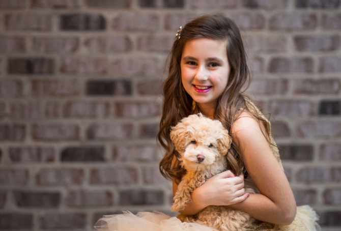 little girl holding a cream Maltipoo dog