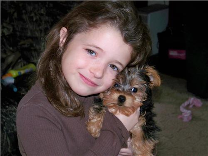 Izzie - Yorkshire Terrier Puppy For Sale Premier Pups Izzie - Yorkshire Terrier Puppy For Sale Premier Pups