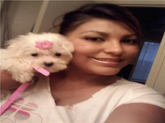Daisy - Maltese Puppy For Sale Premier Pups Daisy - Maltese Puppy For Sale Premier Pups