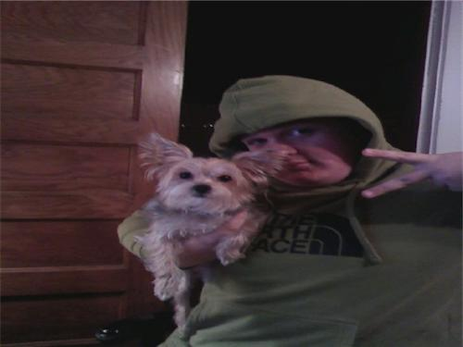 Mylie ( was Sophie) - Yorkie Poo Puppy For Sale Premier Pups Mylie ( was Sophie) - Yorkie Poo Puppy For Sale Premier Pups