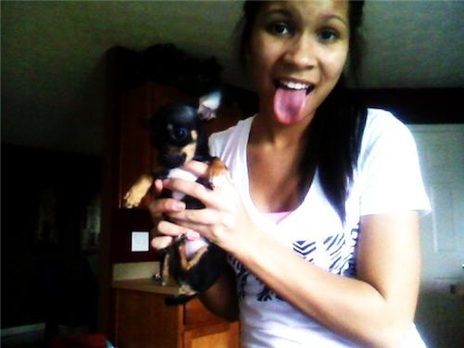 Tinky - Chihuahua Puppy For Sale Premier Pups Tinky - Chihuahua Puppy For Sale Premier Pups