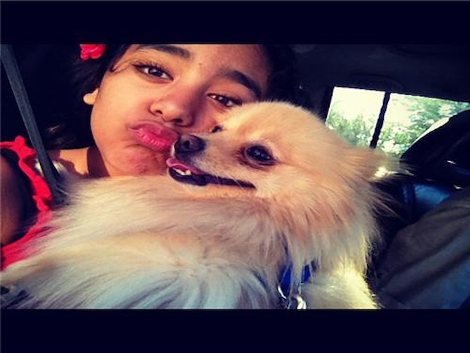 P:rince - Pomeranian Puppy For Sale Premier Pups P:rince - Pomeranian Puppy For Sale Premier Pups