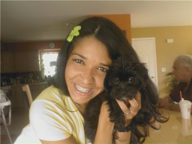 Princess Paris - Yorkie Poo Puppy For Sale Premier Pups Princess Paris - Yorkie Poo Puppy For Sale Premier Pups
