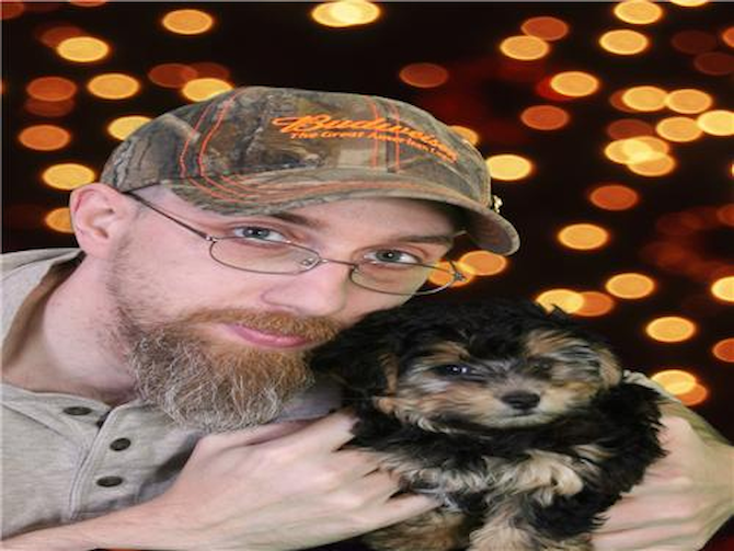 Miacha (formerly Sasha) - Morkie Puppy For Sale Premier Pups Miacha (formerly Sasha) - Morkie Puppy For Sale Premier Pups