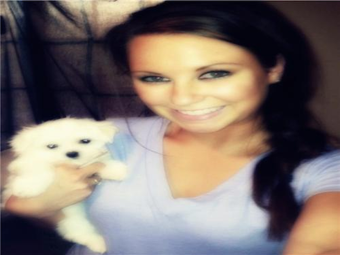 Myla - Maltese Puppy For Sale Premier Pups Myla - Maltese Puppy For Sale Premier Pups