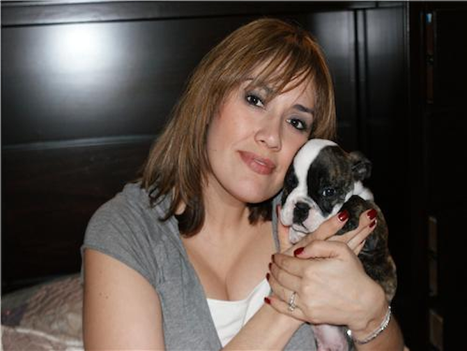 Desiel AKA Duke - English Bulldog Puppy For Sale Premier Pups Desiel AKA Duke - English Bulldog Puppy For Sale Premier Pups