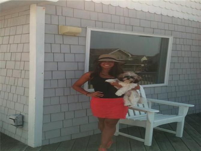 Buster - Shih Tzu Puppy For Sale Premier Pups Buster - Shih Tzu Puppy For Sale Premier Pups