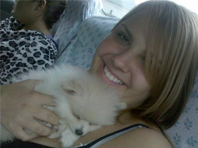 Jasper *Formerly Snow* - Pomeranian Puppy For Sale Premier Pups Jasper *Formerly Snow* - Pomeranian Puppy For Sale Premier Pups