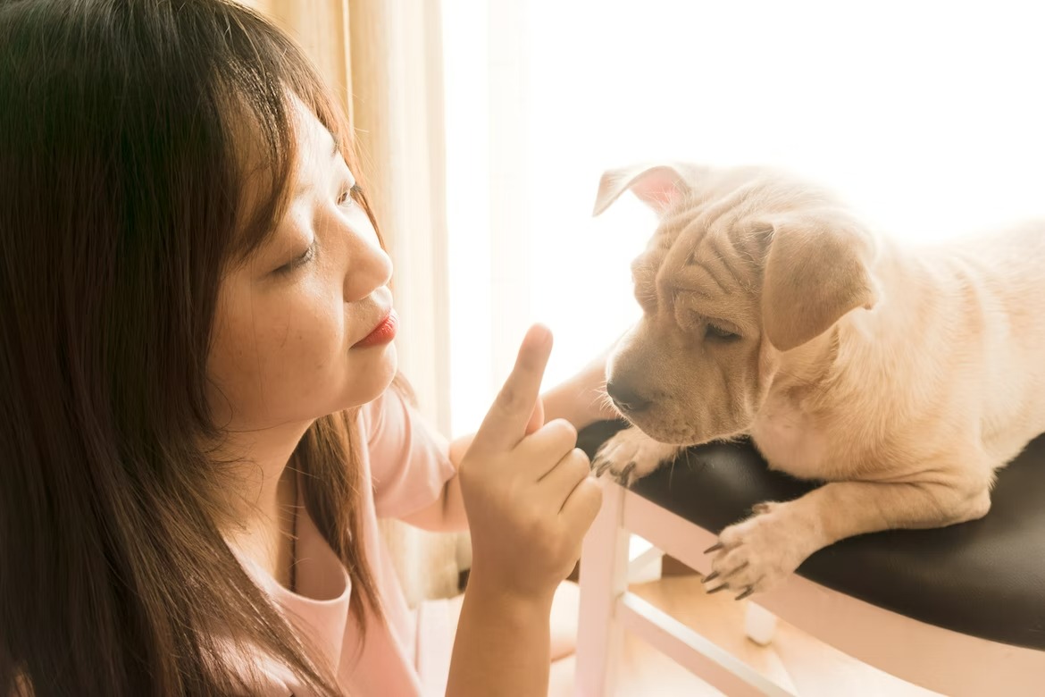 Trainer guiding a focused dog during a training session