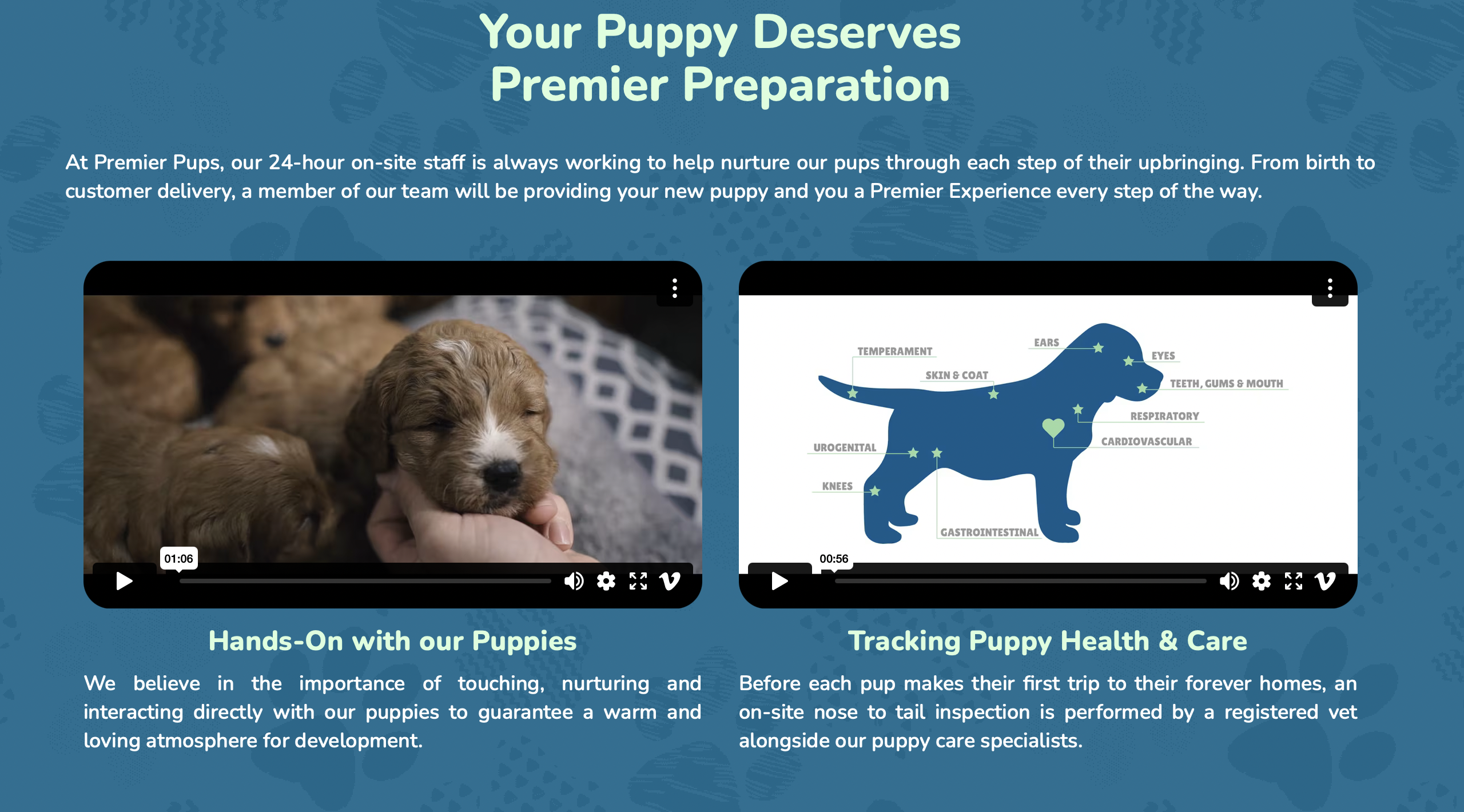 premier experience at premier pups