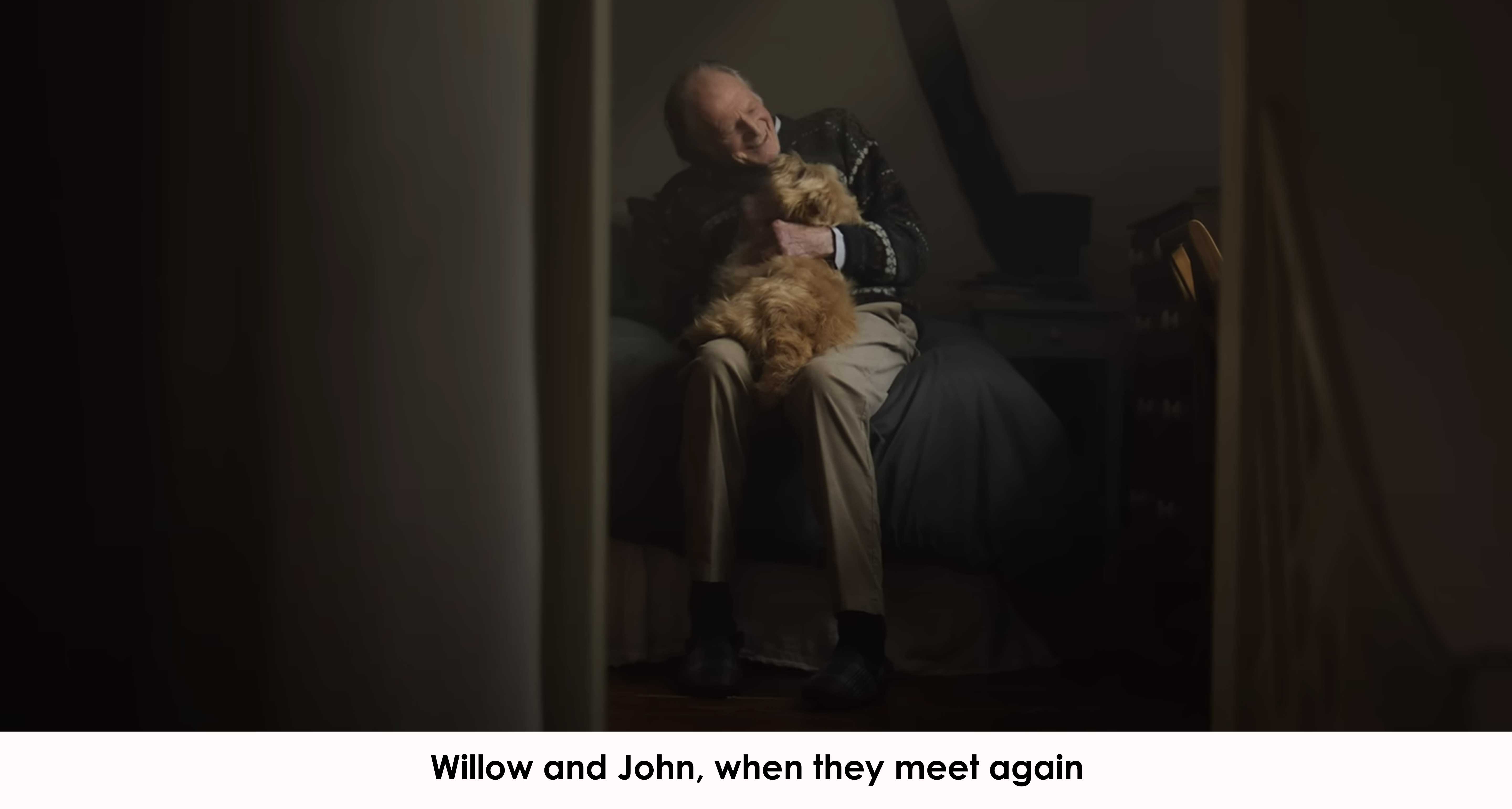 Winnie, the Cairn Terrier, reunited with her friend John