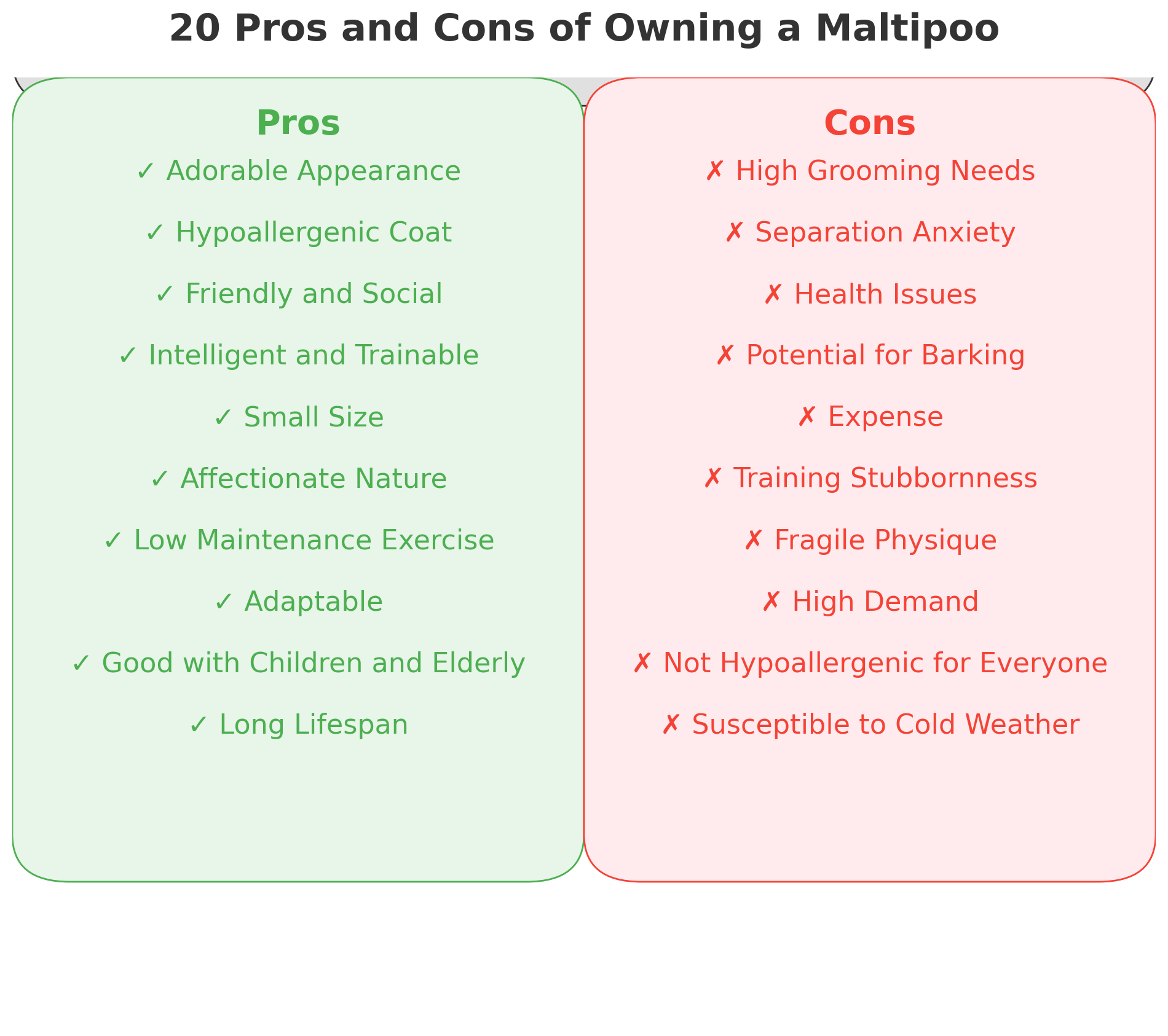maltipoo pros and cons chart