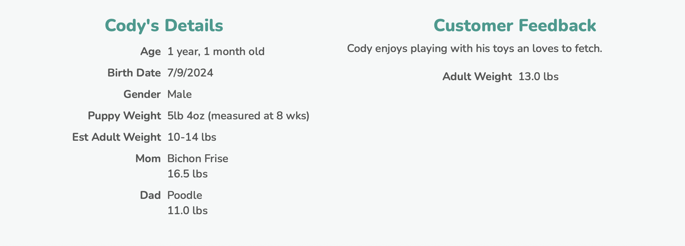 customer review of premier pups - cody's details