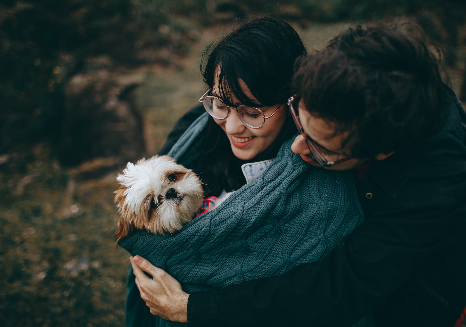 two people cuddling a shih poo doodle