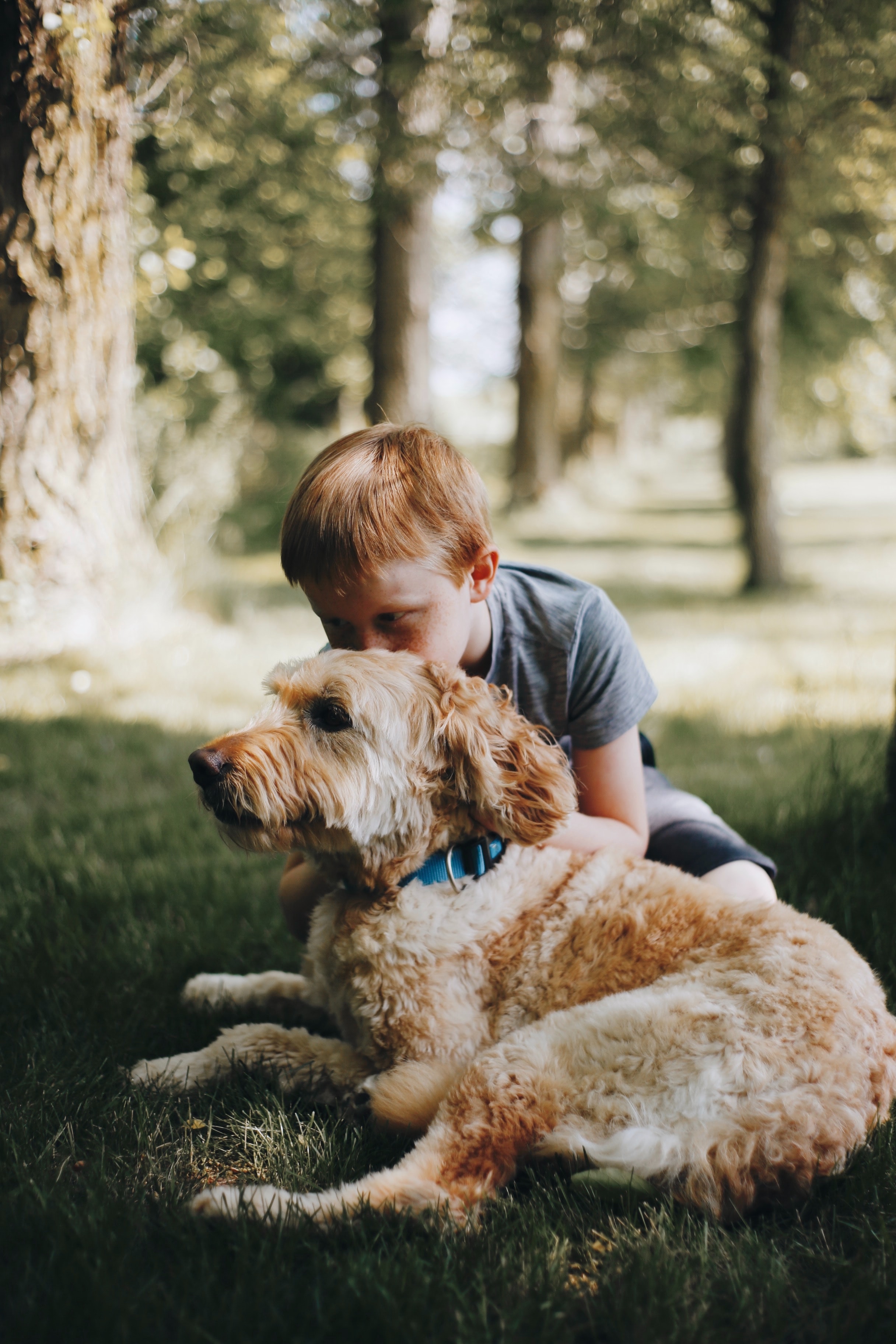 young boy cuddling a mini goldendoodle