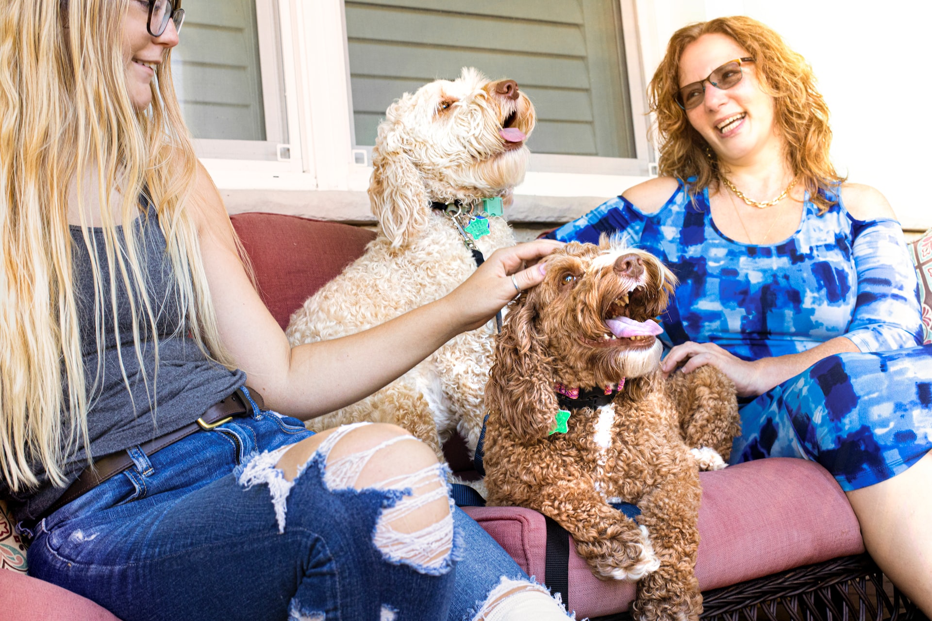 two women with two doodle dogs